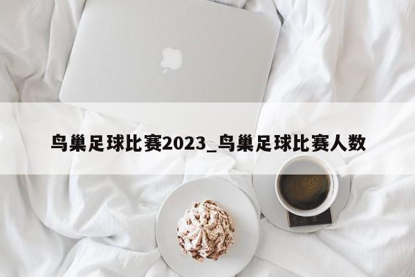 鸟巢足球比赛2023_鸟巢足球比赛人数