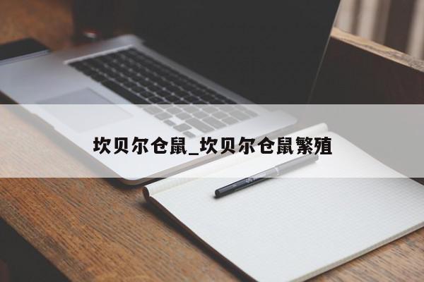 坎贝尔仓鼠_坎贝尔仓鼠繁殖