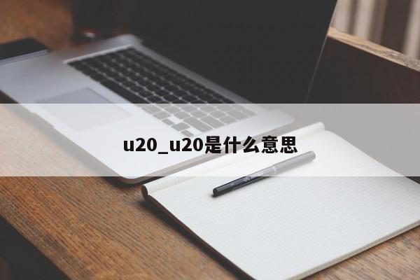 u20_u20是什么意思