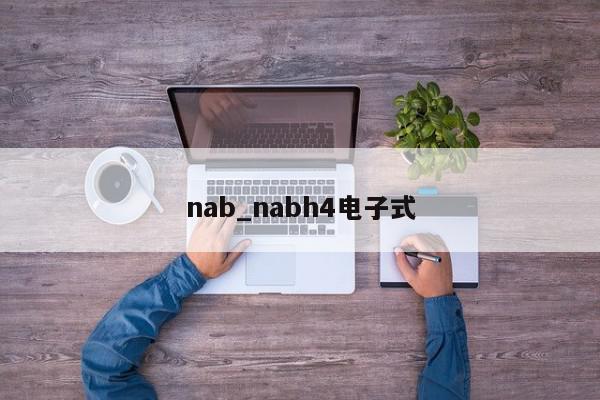 nab_nabh4电子式